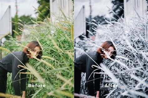 Sharp Color Photoshop Action Actions And Presets Including Filter