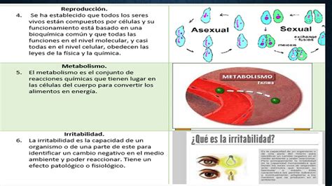 Actividad Integradora Modulo Youtube