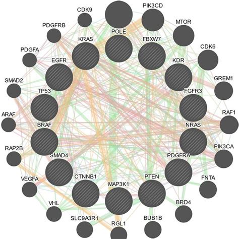 Genegene Interaction Network Of Genes Was Constructed In Genemania