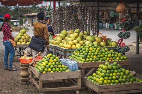 Siem Reap Ultimate Countryside E Bike Tour Klook