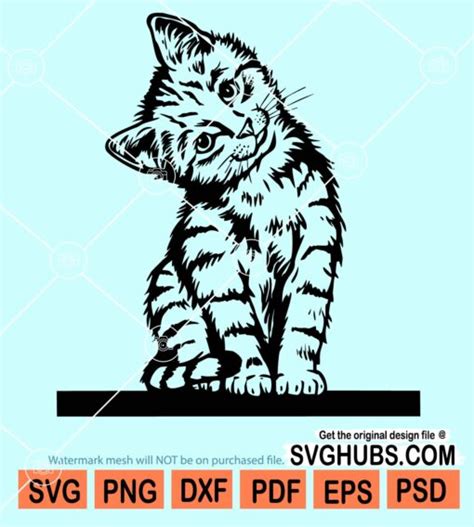 Cute Kitten Svg Kitten Svg Kitten Clipart Svg Pet Svg Playful