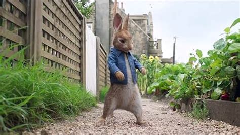 Peter Rabbit 2018 Imdb