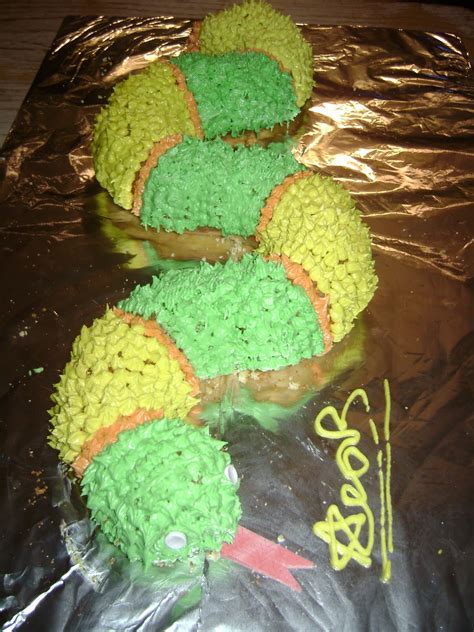 The Sojourner Awesome Snake Cake For Biology Co Op Final Class