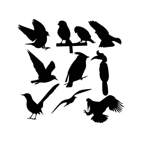 Bird silhouette vector illustration 13672421 Vector Art at Vecteezy