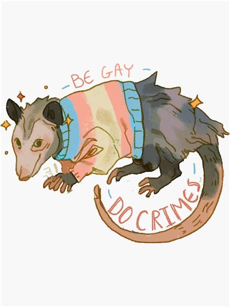 Marceline And Bubblegum Awesome Possum Trans Art Trans Flag Cute