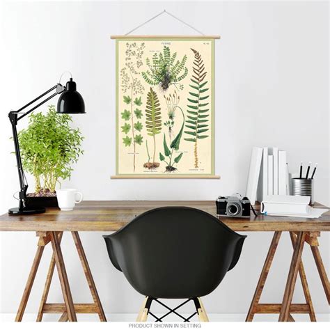 Fern Species Chart Vintage Style Poster | Decor, Paper decorations ...