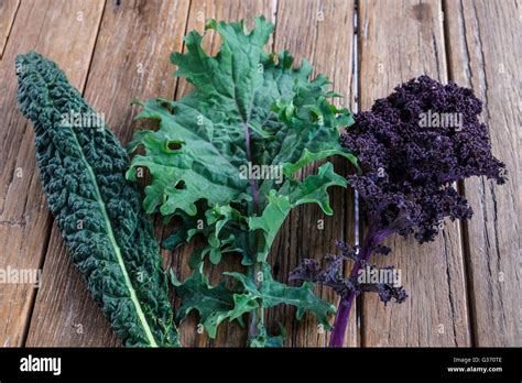 Three Different Varieties Of Kale Left To Right Tuscan Kale Red