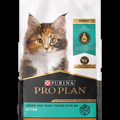 Pro Plan Kitten Wet And Dry Food Purina