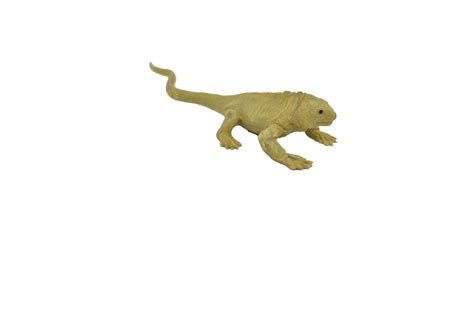 Iguana Land Galapagos Islands Realistic Toy Model Plastic Replica