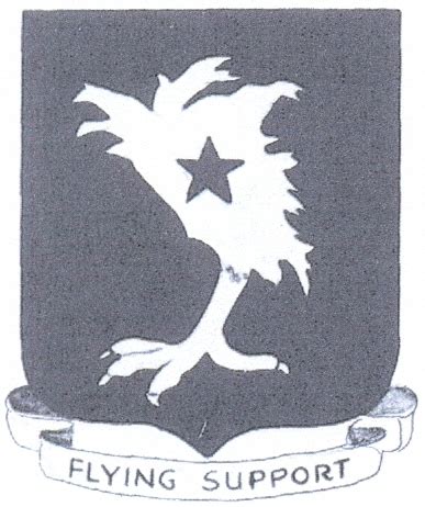 File 64th Troop Carrier Group USAAF Heraldry Of The World