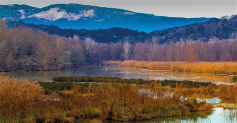 Riserva Naturale Valle DellInferno E Bandella Discover Arezzo