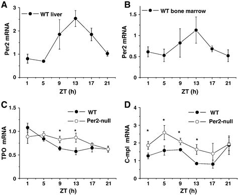 The Clock Gene Per2 Is Required For Normal Platelet Formation And