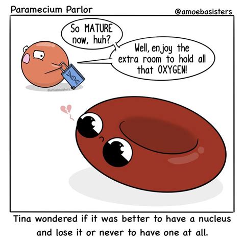 Paramecium Parlor Comics Science With The Amoeba Sisters