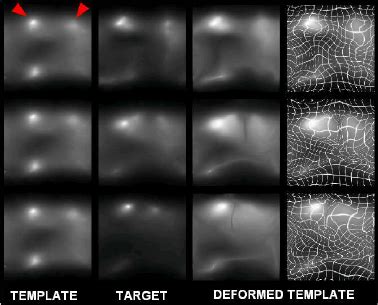 Matching Surface Features In D Pa Rameter Domains Using Mutual