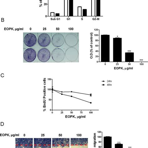 Eopk Inhibits Cell Proliferation And Migration In Hct116 Colorectal