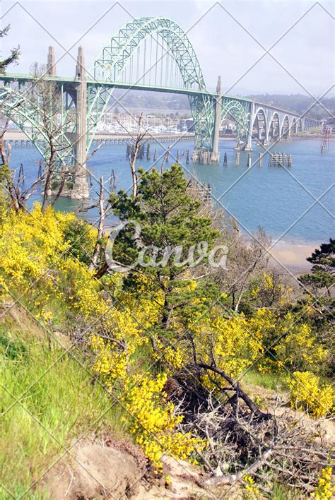 Yaquina Bay Bridge Photos By Canva