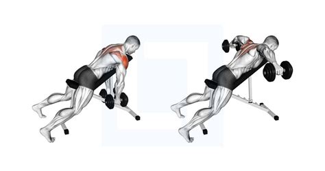 Dumbbell Incline Rear Lateral Raise Guide Benefits And Form