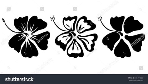 Three Hibiscus Flower Silhouettes For Design Vector 136191635