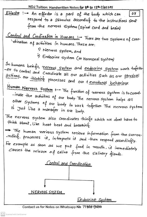 Control And Coordination Handwritten Notes For Class 10th Artofit