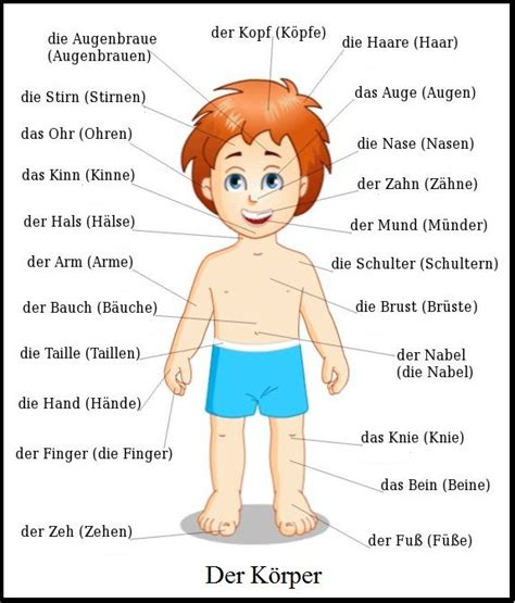 Der Körper Und Die Körperteile Learn German Online Deutsch Lernen Deutsch Lernen Kinder