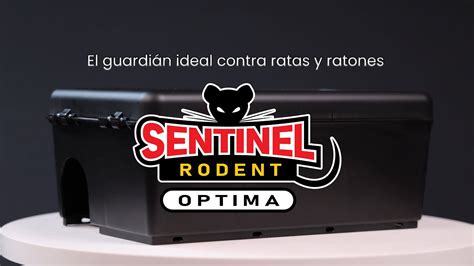 Estación Cebadera Sentinel Rodent Optima Youtube