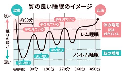 良質な睡眠とは？ 武蔵新城駅徒歩6分 根本から痛みを治す【しんじょう中央接骨院】土日祝診療＆ママ歓迎