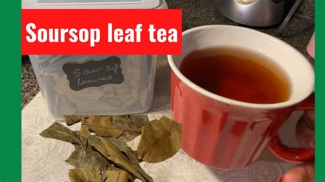 How To Make Soursop Leaf Tea Dried Soursop Leaves Youtube