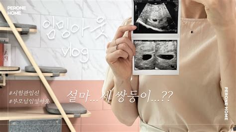 설마 세 쌍둥이 👼🏻 부모님 임밍아웃 시험관임신 난임부부브이로그 직장인시험관 Youtube