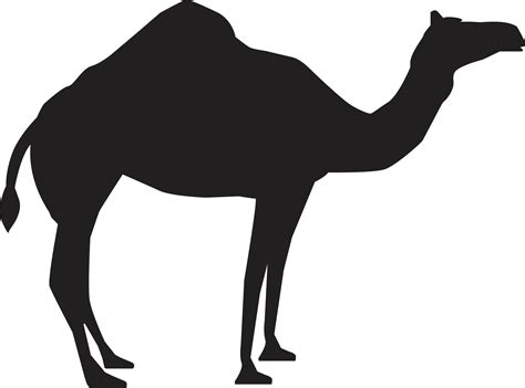 Camel Icon On White Background Camel Silhouette Sign Flat Style