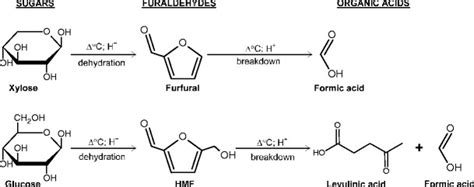 Xylose To Furfural