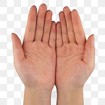 Gesture Arm Finger Gesture Limb Hand Skin PNG Transparent Image And