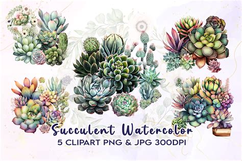 Succulent Watercolor Clipart Graphic By Nastine · Creative Fabrica