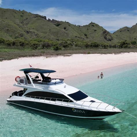 Komodo Full Day Speedboat Tour From Labuan Bajo