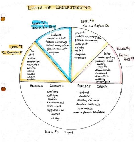 The Learning Brain | Science, Education, and Science Education