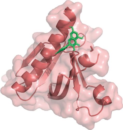 The Best Schematic Diagram Of Molecular Docking Between Ursonic Acid