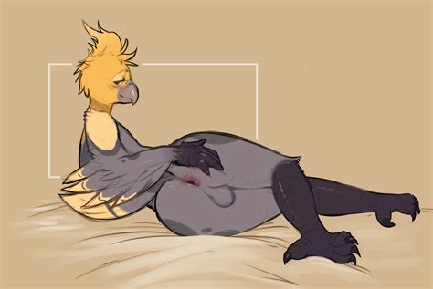 Rule 34 2023 Absurd Res Anthro Anus Ass Avian Backsack Balls Beak Bed Bird Blush Cockatiel