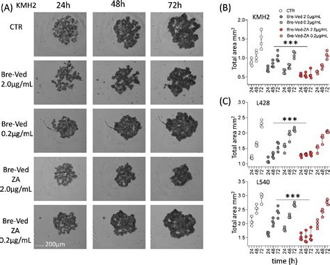 Figure 6 From AntibodyDrug Conjugate Made Of Zoledronic Acid And The