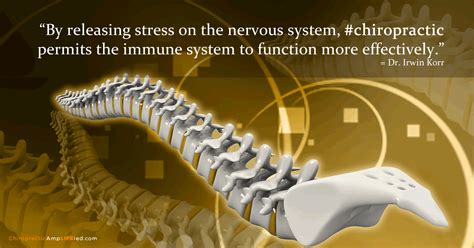 Immune System Boost Boost Immune System Chiropractic Marketing Chiropractic