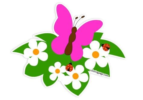 Daisies with butterfly | Coloring Page