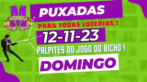 PUXADAS PTM RIO LOOK PB BAHIA LN POP E SP PALPITES DIA 12 11 2023 DO