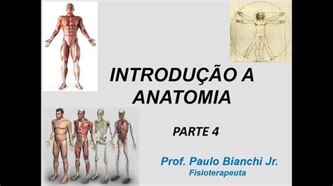 Introdução a Anatomia Humana Parte 4 YouTube