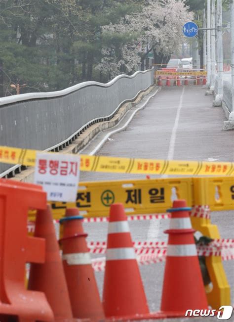 성남 수내교 보행로 통제 네이트 뉴스