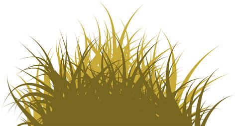 Brown Grass Png 16583605 Png