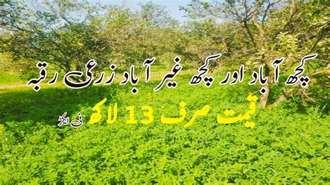 Acer Agriculture Land For Sale In Punjab Pakistan Cheap