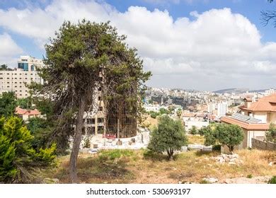 Ramallah West Bank Palestine June 10 Stock Photo 530693164 | Shutterstock