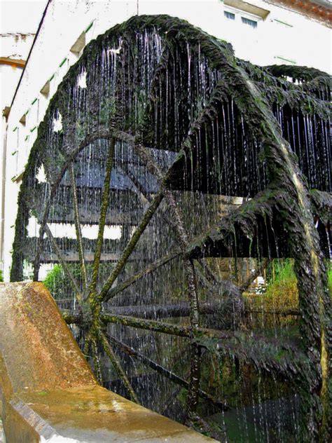 Les roues à aubes Isle sur la Sorgue