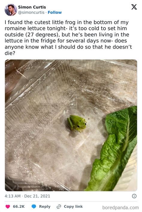 50 Times People Sat To Eat Only To Get Their Appetite Ruined By Weird ...