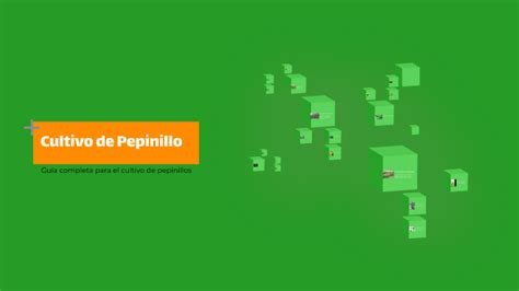 Cultivo De Pepinillo By Fidel Jove Quispe On Prezi