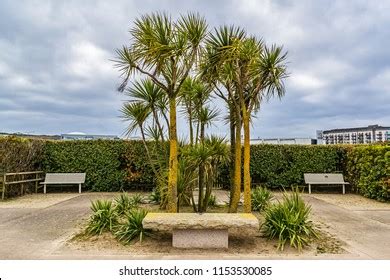 Gardens Sea Les Jardins De La Stock Photo Shutterstock