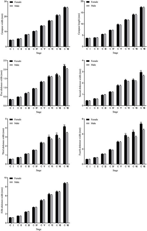 Frontiers Evidence Of Sex Differentiation Based On Morphological